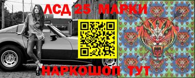 шишки Лесосибирск