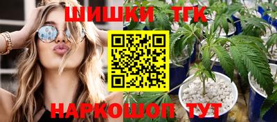 шишки Лесосибирск