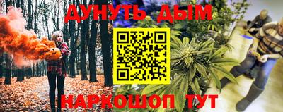 шишки Лесосибирск