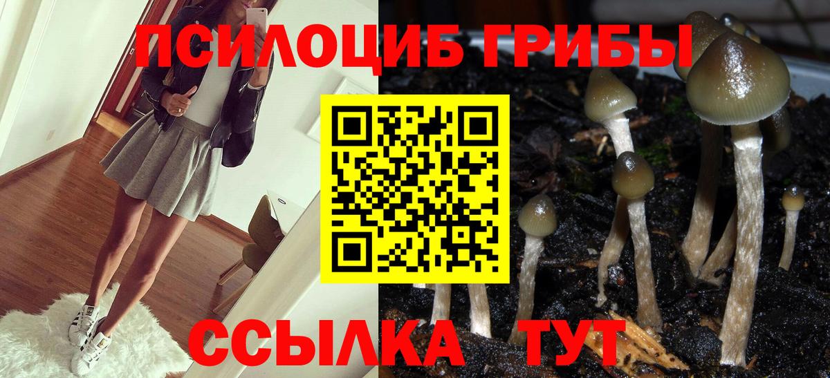 Галлюциногенные грибы мухоморы Химки
