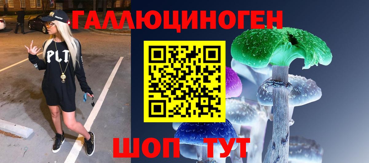 Псилоцибиновые грибы Psilocybe  Псилоцибиновые грибы Magic Shrooms  Вход с VPN  купить закладку  Химки 